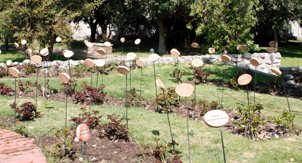 parque_rosas04