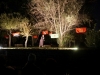 galeria_gc013