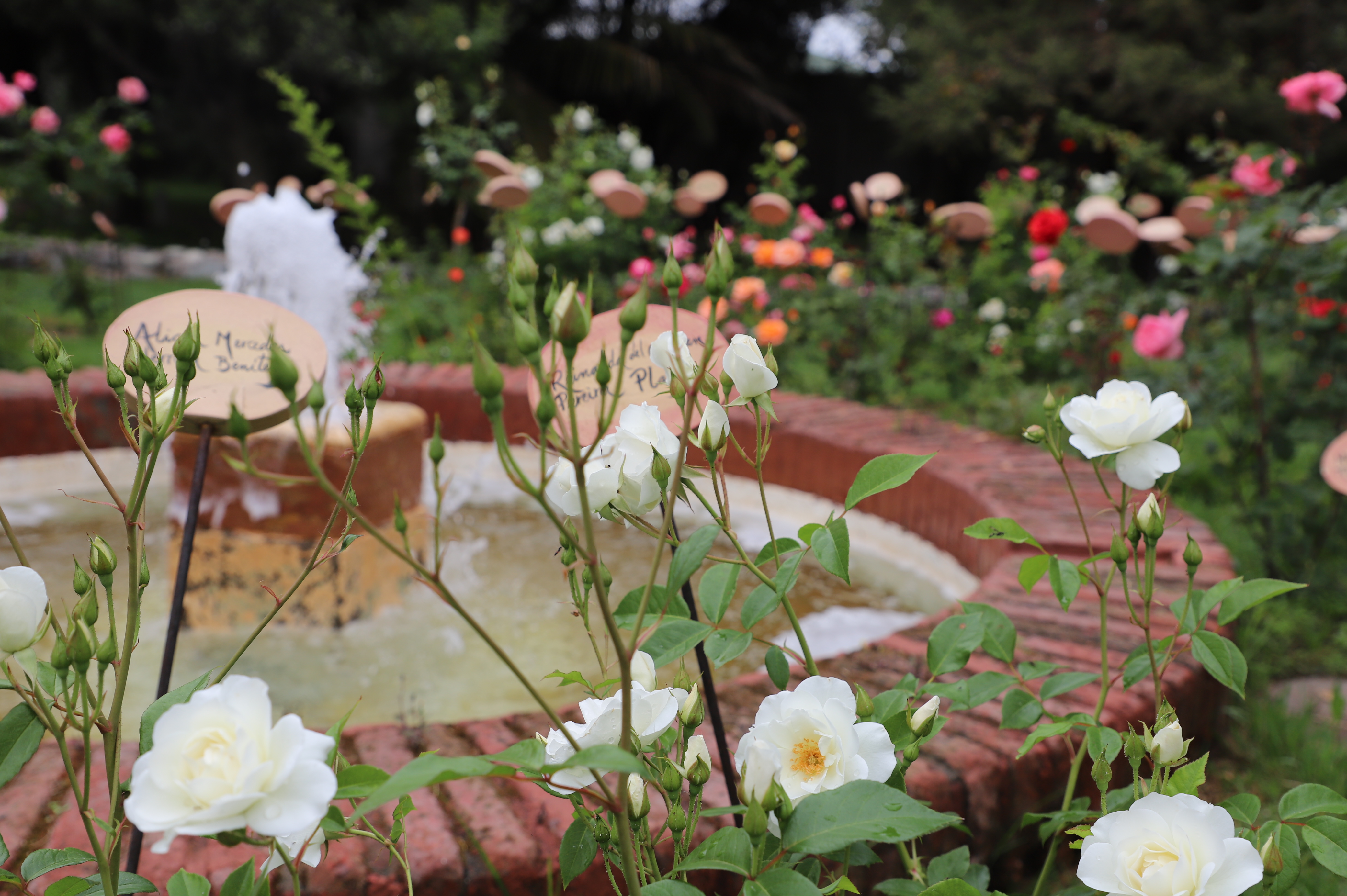 SEGUNDO LLAMADO DE CITACIÓN A ASAMBLEA GENERAL ORDINARIA DE SOCIAS Y SOCIOS